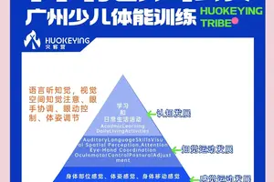  为什么分卫需要特别注重体能训练：提升赛场表现的两大策略